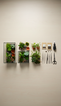 Emerald Growth Aquatic Plant Set